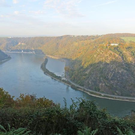 Roosartige Ferien - Ferienwohnung Am Weiherturm Bacharach Bagian luar foto