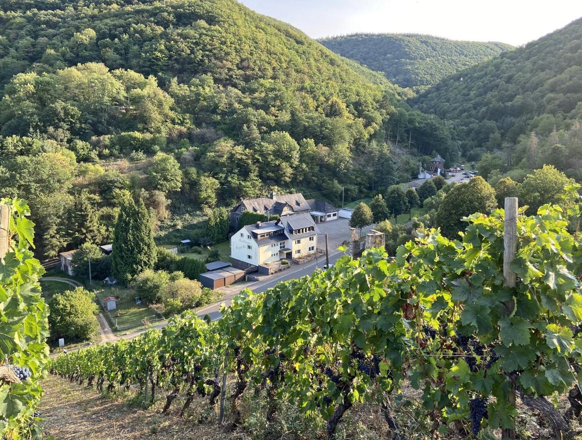 Roosartige Ferien - Ferienwohnung Am Weiherturm Bacharach Bagian luar foto