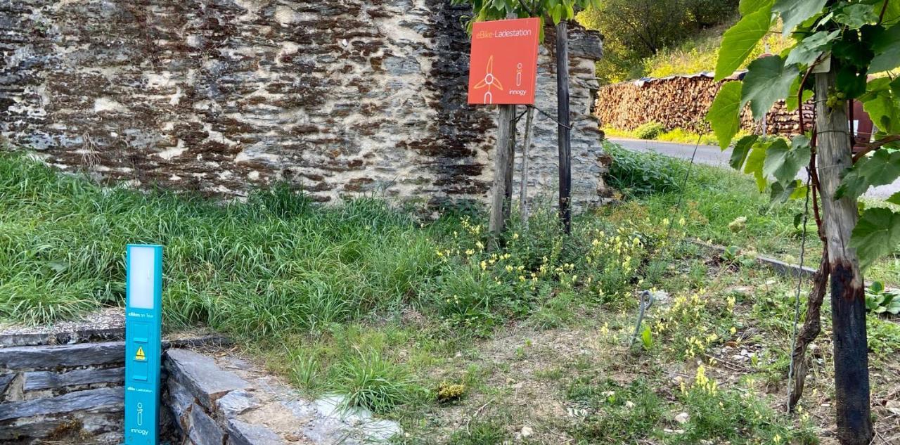 Roosartige Ferien - Ferienwohnung Am Weiherturm Bacharach Bagian luar foto