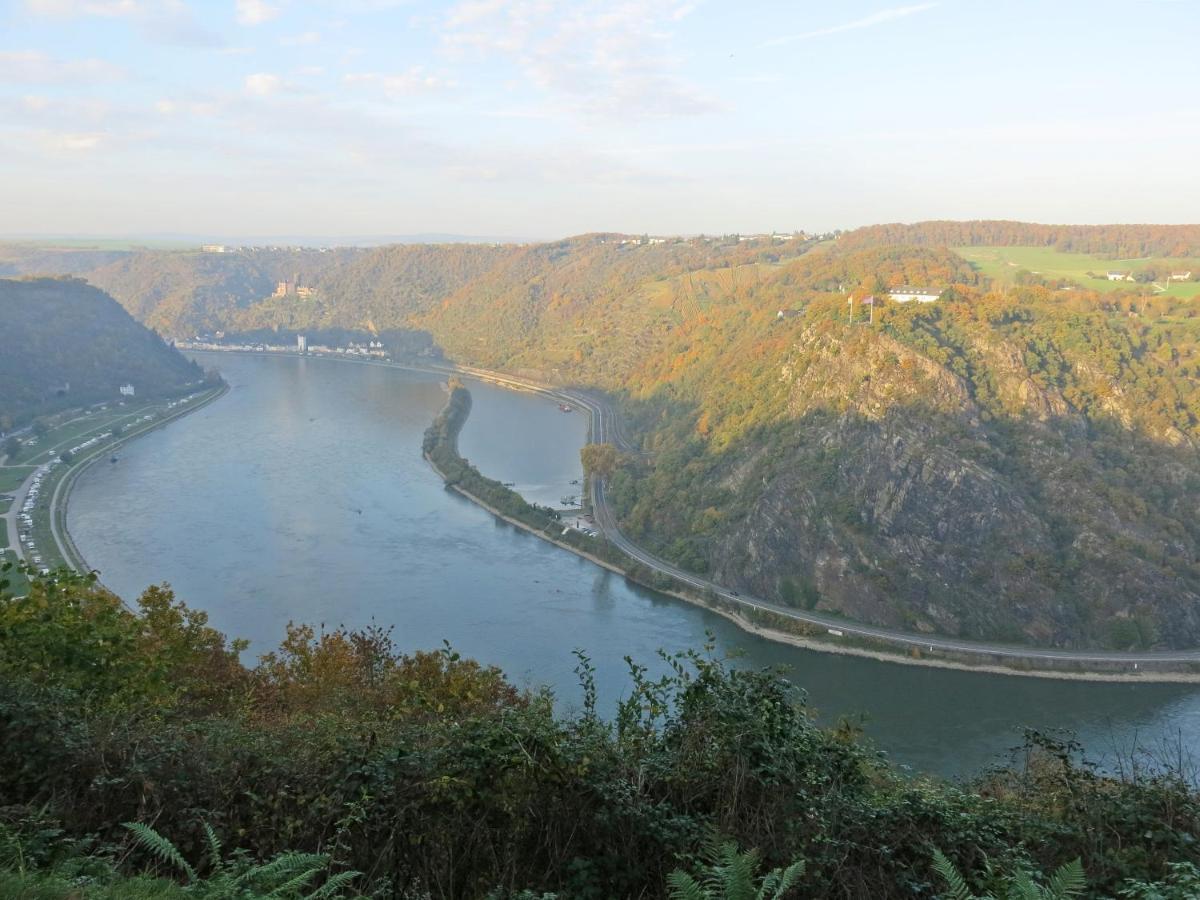Roosartige Ferien - Ferienwohnung Am Weiherturm Bacharach Bagian luar foto