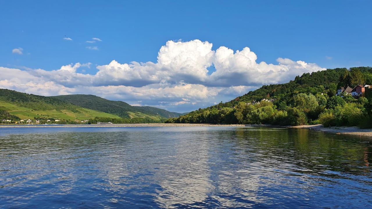 Roosartige Ferien - Ferienwohnung Am Weiherturm Bacharach Bagian luar foto