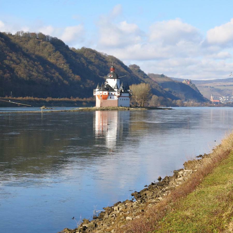 Roosartige Ferien - Ferienwohnung Am Weiherturm Bacharach Bagian luar foto